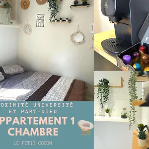 L'oasis Cosy Appartement Villeurbanne